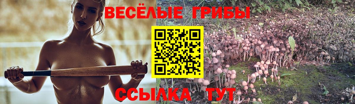 Сочи  Псилоцибиновые грибы MAGIC MUSHROOMS  Вход с VPN 