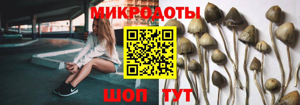 Псилоцибиновые грибы Magic Shrooms Сочи